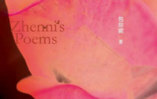 二十岁「pdf-epub-mobi-txt-azw3」