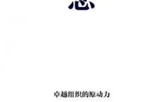 理念：卓越组织的原动力「pdf-epub-mobi-txt-azw3」