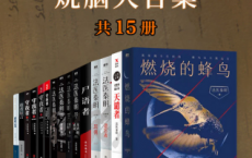 法医秦明烧脑大合集（全套装15册）「pdf-epub-mobi-txt-azw3」