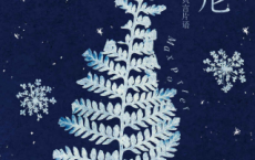 兰尼 : 星星、植物与只言片语「pdf-epub-mobi-txt-azw3」
