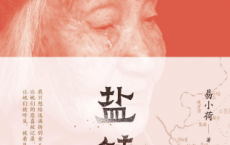 盐镇「pdf-epub-mobi-txt-azw3」