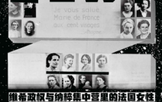 冬日列车：维希政权与纳粹集中营里的法国女性「pdf-epub-mobi-txt-azw3」