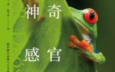 动物们的神奇感官「pdf-epub-mobi-txt-azw3」