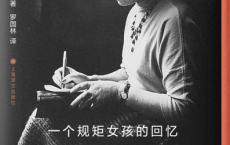 一个规矩女孩的回忆「pdf-epub-mobi-txt-azw3」