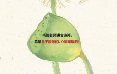 读客三个圈经典文库：骆玉明古诗词课「pdf-epub-mobi-txt-azw3」