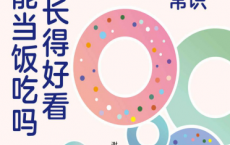 长得好看能当饭吃吗百度网盘