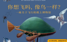 你想飞吗，像鸟一样？pdf,epub,mobi,txt