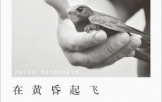 在黄昏起飞pdf,epub,mobi,txt