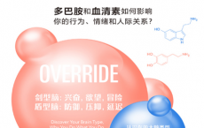 剑型脑和盾型脑pdf,epub,mobi,txt