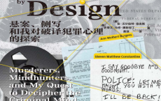 凝视深渊：悬案、侧写和我对破译犯罪心理的探索pdf,epub,mobi,txt