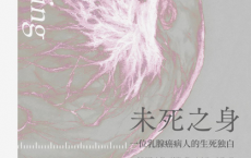 未死之身：一位乳腺癌病人的生死独白pdf,epub,mobi,txt