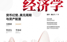 流动性经济学:货币幻觉、美元周期与资产配置pdf,epub,mobi,txt