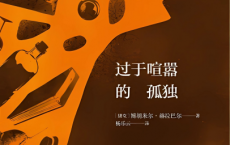 过于喧嚣的孤独pdf,epub,mobi,txt