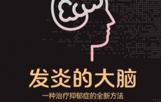 发炎的大脑：一种治疗抑郁症的全新方法pdf,epub,mobi,txt