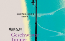 唐纳兄妹「pdf-epub-mobi-txt」