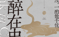 醉在中国「pdf-epub-mobi」