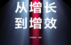 从增长到增效「pdf-epub-mobi」