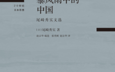 暴风雨中的中国「pdf-epub-mobi」