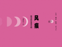 风痕：我与性社会学互构「pdf-epub-mobi」