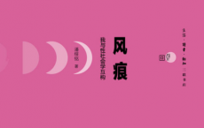 风痕：我与性社会学互构「pdf-epub-mobi」