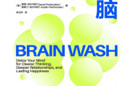 排毒吧！大脑「pdf-epub-mobi」